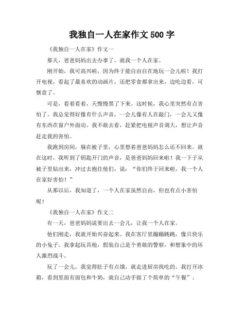 我独自一人在家作文500字