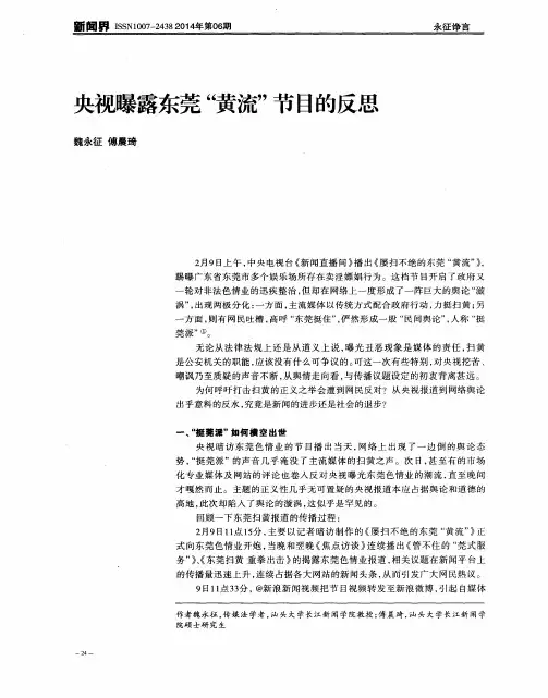 央视曝露东莞“黄流”节目的反思
