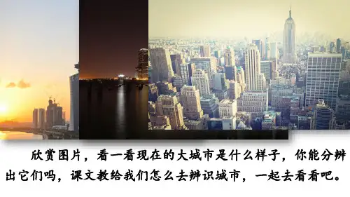 (赛课课件)六年级下册语文《城市的标识》 (共67张PPT)