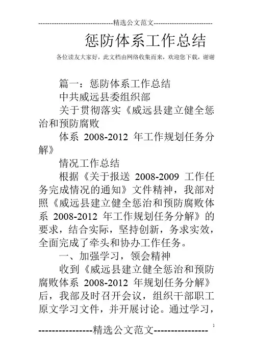 惩防体系工作总结