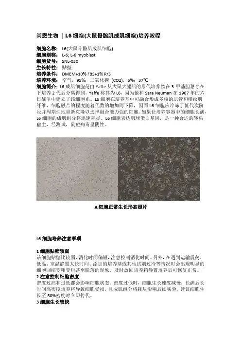 L6细胞培养注意事项
