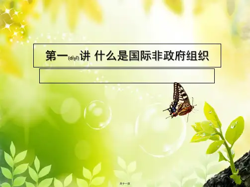 第一讲什么是国际非政府组织