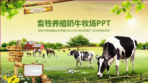 ppt模板：动物农场畜牲养殖奶牛牧场ppt通用模板