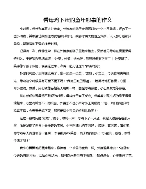 看母鸡下蛋的童年趣事的作文