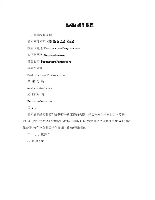 MAGMA操作教程