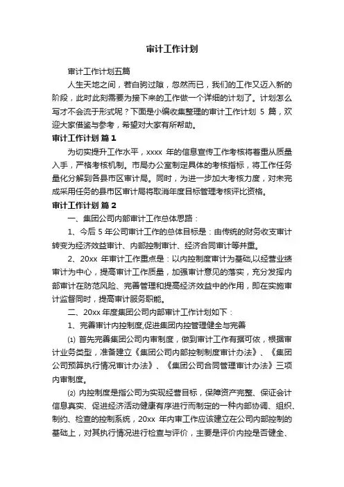 审计工作计划