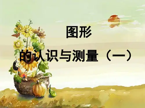人教版小学六年级数学下册总复习图形的认识与测量(一)PPT教学课件