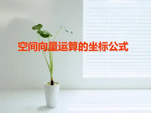 空间向量运算的坐标公式解读