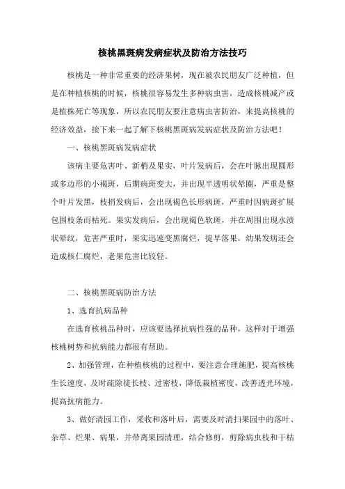 核桃黑斑病发病症状及防治方法技巧