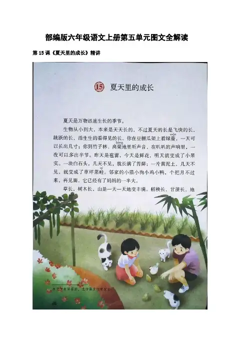 部编版六年级语文上册第五单元图文全解读