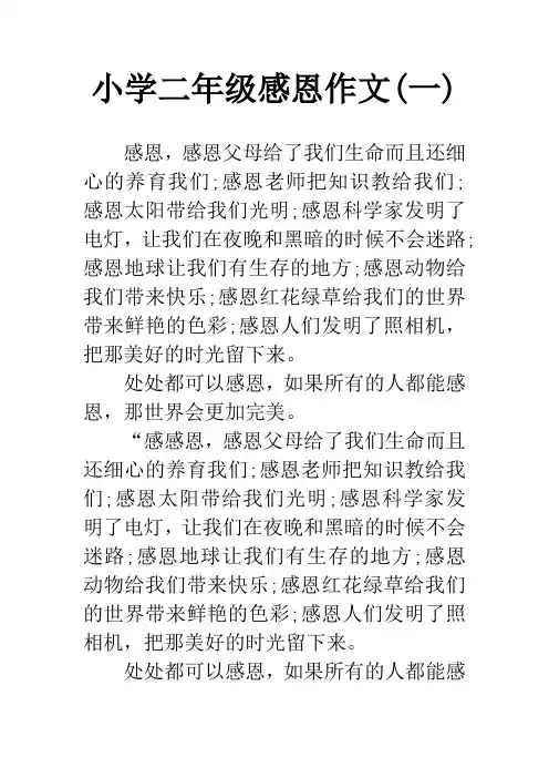 小学二年级感恩作文(一)