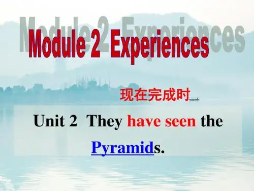 外研版英语八年级下册Module2Unit2 They have seen the Pyramids. (共15张PPT)