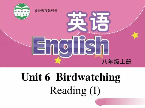 牛津译林版八年级英语上册Unit6Reading课件 (共13张PPT)
