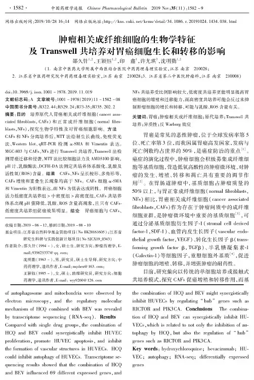 肿瘤相关成纤维细胞的生物学特征及Transwell共培养对胃癌细胞生长和