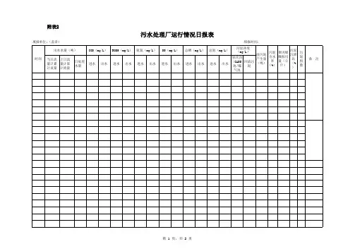 污水处理厂运行情况日报表