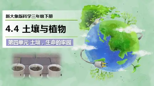 2024新大象版科学三年级下册第四单元 土壤,生命的家园《土壤与植物》优质课件