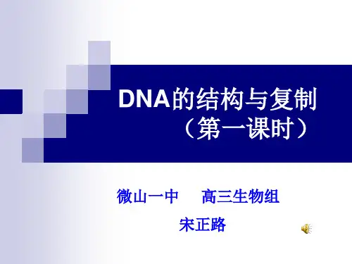 2013年高考生物一轮复习之DNA的结构与复制
