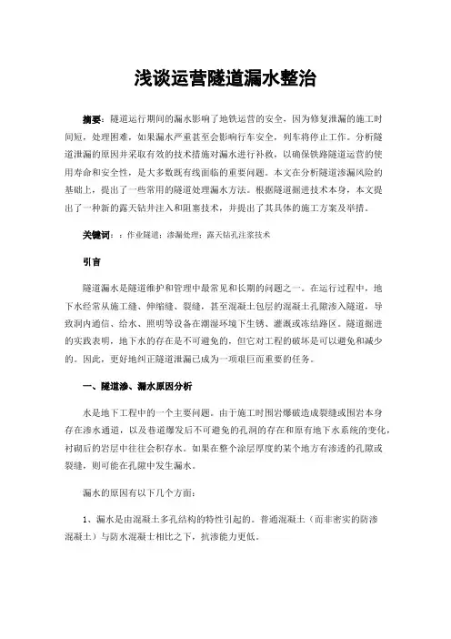浅谈运营隧道漏水整治