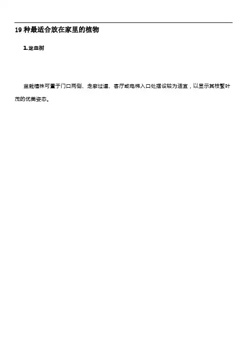 19种最适合放在家里的植物