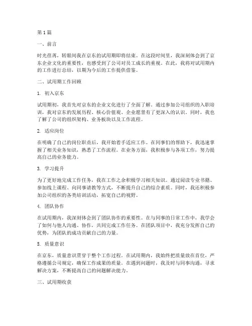 京东试用期工作总结范文(3篇)