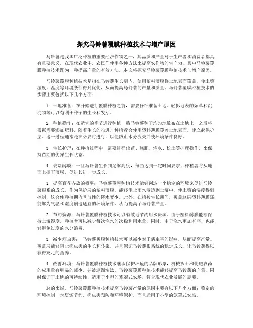 探究马铃薯覆膜种植技术与增产原因