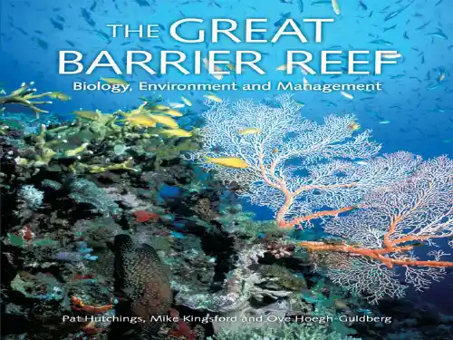 生态旅游圣地——澳大利亚大堡礁 The great barrier reef