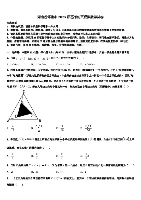 湖南省怀化市2025届高考仿真模拟数学试卷含解析