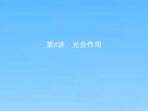 高考生物一轮课件第8讲光合作用