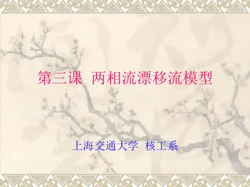 第三章(第三次课)  两相流动模型(飘)