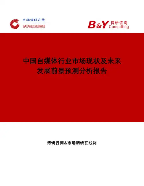 中国自媒体行业市场现状及未来发展前景预测分析报告