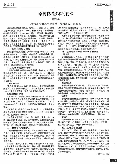 桑树栽培技术的初探