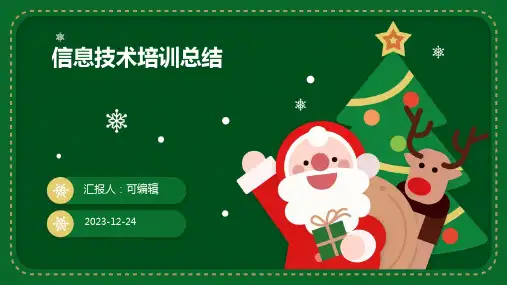 信息技术培训总结(通用)ppt
