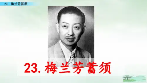 人教部编版梅兰芳蓄须ppt优秀课件1