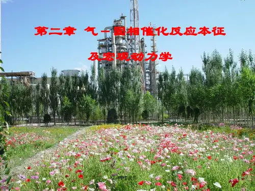 《反应工程》气-固相催化反应本征及宏观动力学  ppt课件