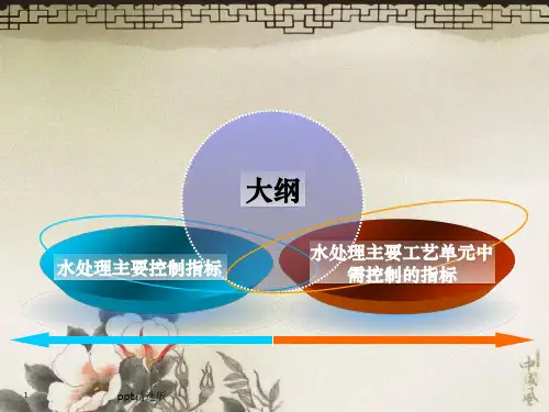污水处理中需控制的主要水质指标及意义15hPPT课件