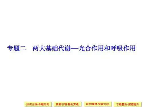 【创新设计】2015届高考生物二轮专题复习第一篇+第二单元 生命系统的代谢基础2+(课件+训练打包)