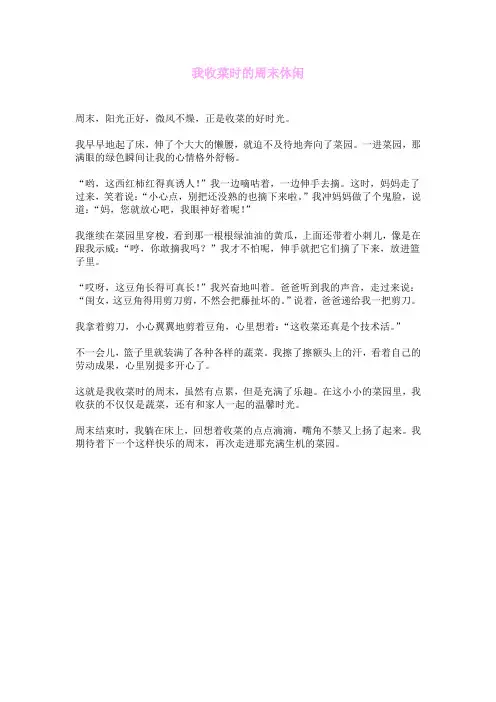 我收菜时的周末休闲
