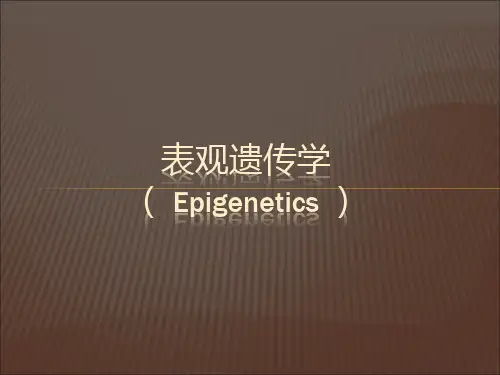 表观遗传学