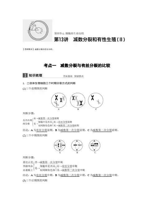 2017版新步步高高考生物(苏教版)大一轮复习讲义Word文档第4单元细胞的生命历程第13讲Word版含答案