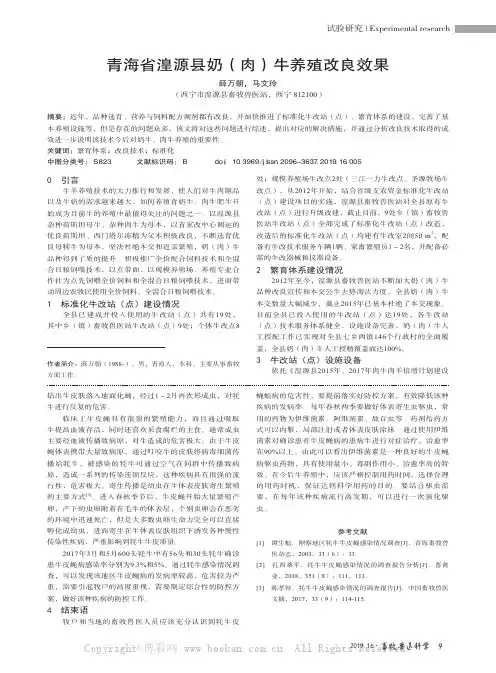 青海省湟源县奶(肉)牛养殖改良效果