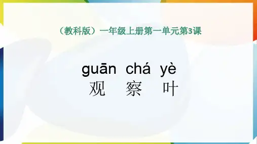 教科版小学一年级科学上册第一单元第3课《观察叶》优质课课件2套(公开课示范课教学课件)