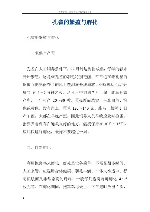 孔雀的繁殖与孵化