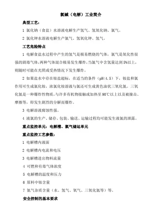 氯碱工业工艺简介