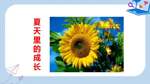 新人教部编版语文六年级(上)15夏天里的成长-精品课PPT课件2019-2020