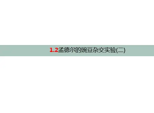 孟德尔的豌豆杂交实验(二)(第1课时)高一生物课件(人教版2019必修2)