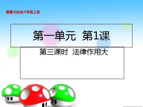 六年级上册道德与法治课件-1 感受生活中的法律第三课时 法律作用大人教部编版 (共20张PPT)