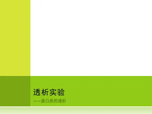 蛋白质的透析实验