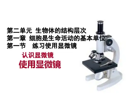 人教版七年级生物上册第二单元第一章第一节练习使用显微镜 说课课件(共26张PPT)