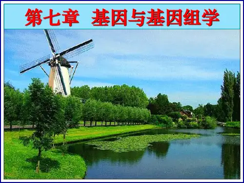 第七章 基因与基因组学