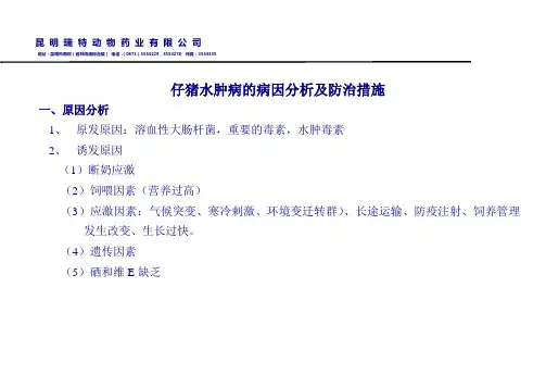 仔猪水肿病
